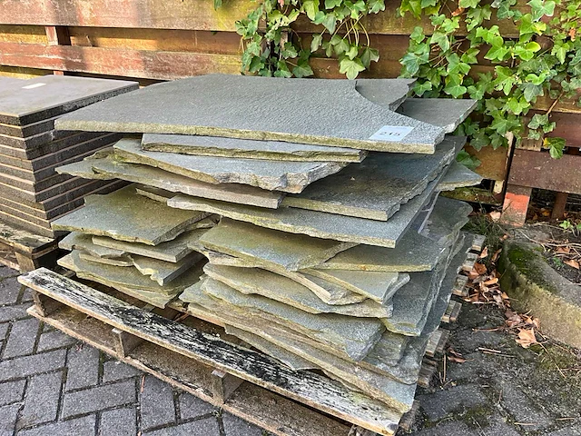 Flagstones - afbeelding 1 van  5