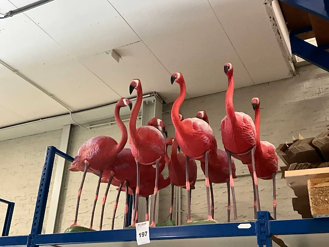 Flamingo (10x) - afbeelding 1 van  3