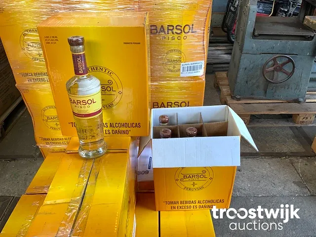 Fles pisco - afbeelding 1 van  2