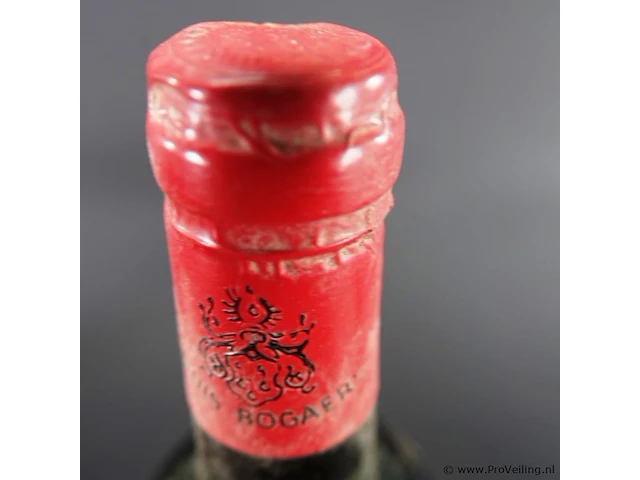 Fles wijn als op foto's - afbeelding 3 van  4
