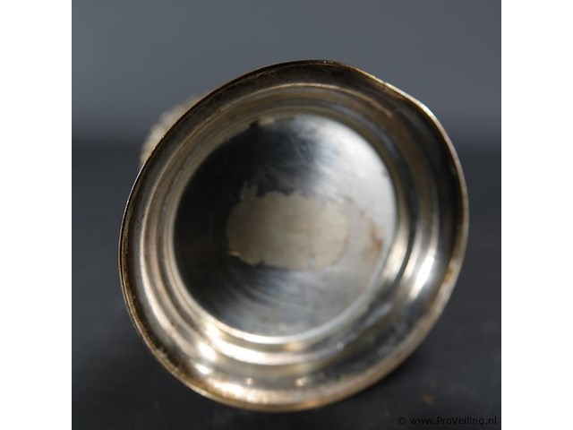 Flesvoet - afbeelding 5 van  5