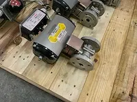 Flowserve klep (11x) - afbeelding 16 van  42