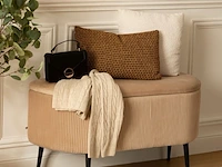 Fluwelen bank met opbergruimte 100x40x53 cm atmosphera - afbeelding 2 van  7