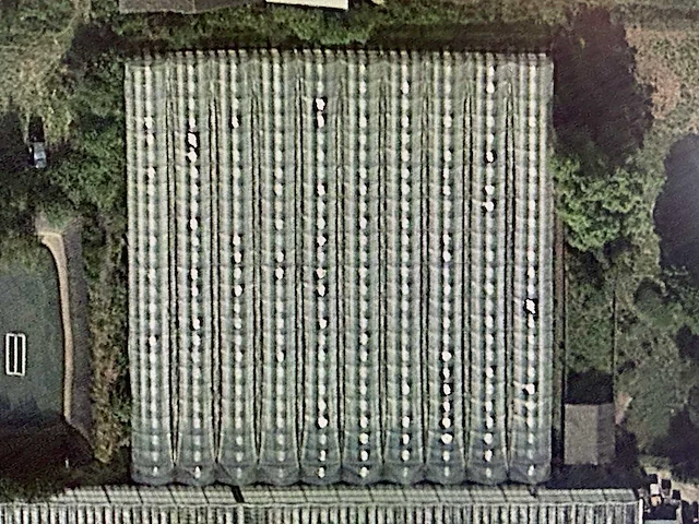 Folie kas (6x5mtr) - afbeelding 16 van  31