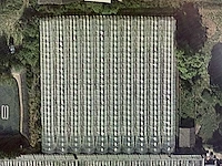 Folie kas (6x5mtr) - afbeelding 16 van  31