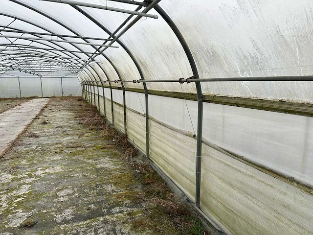 Folietunnel (8,00x32,00 mtr) (240m2) - afbeelding 2 van  12