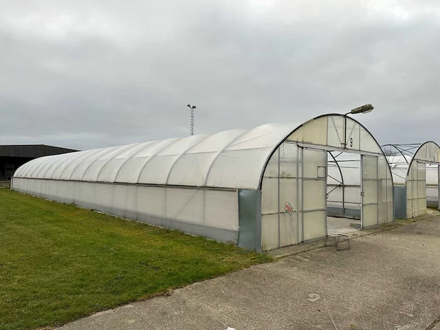Folietunnel (8,00x32,00 mtr) (240m2) - afbeelding 1 van  12