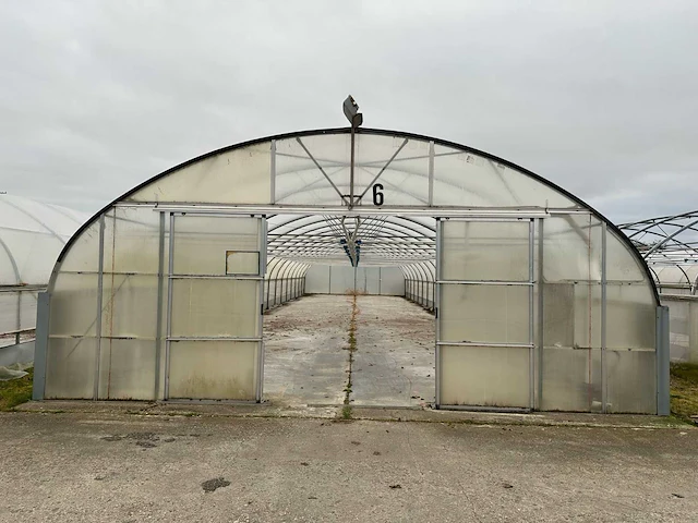Folietunnel (8,00x32,00 mtr) (240m2) - afbeelding 5 van  12