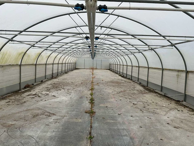 Folietunnel (8,00x32,00 mtr) (240m2) - afbeelding 6 van  12
