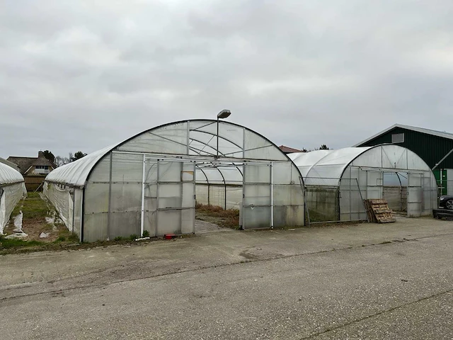 Folietunnel (8,00x32,00 mtr) (240m2) - afbeelding 7 van  12