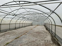 Folietunnel (8,00x32,00 mtr) (240m2) - afbeelding 8 van  12