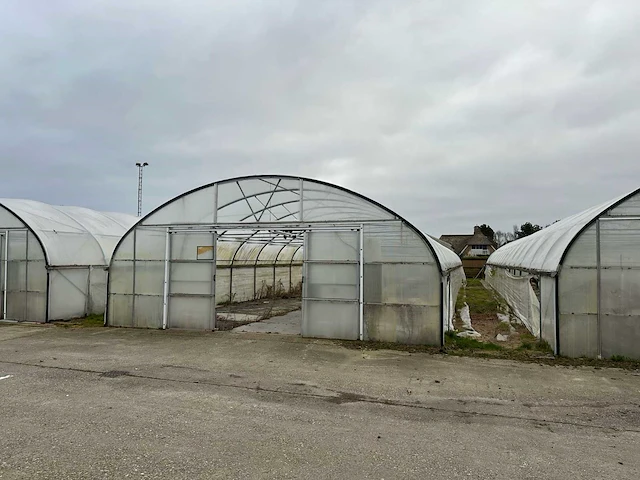 Folietunnel (8,00x32,00 mtr) (240m2) - afbeelding 9 van  12