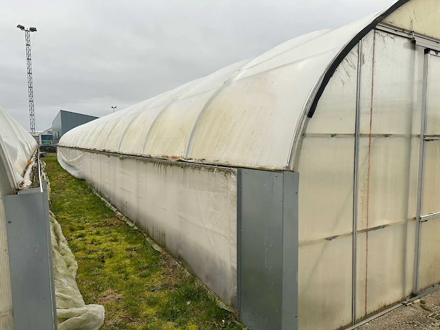 Folietunnel (8,00x32,00 mtr) (240m2) - afbeelding 12 van  12