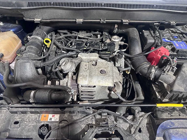 Ford - b-max - 1.0 ecob. titanium - j-277-kt - afbeelding 10 van  19