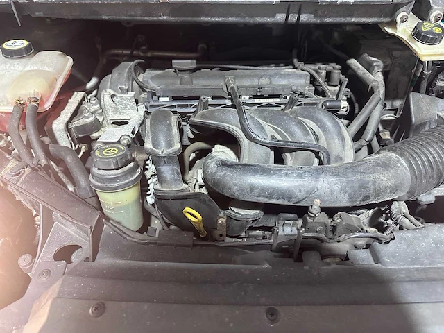 Ford - focus c-max - 1.6-16v futura - 85-sn-kr - afbeelding 10 van  20