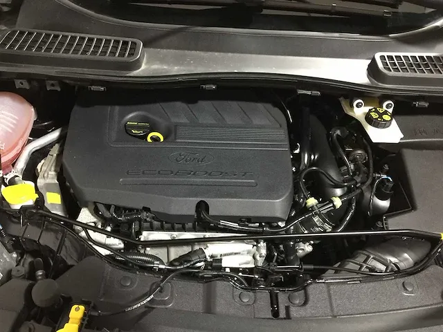 Ford - kuga - 1.5 ecob. titanium - sj-806-b - afbeelding 16 van  24