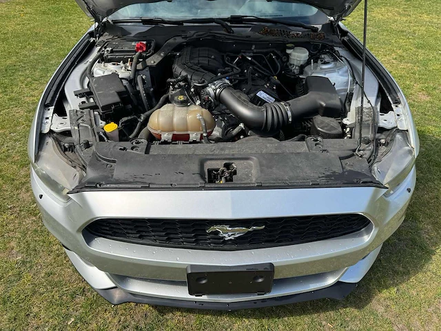 Ford - mustang - 3.6 v6 - 2015 - afbeelding 30 van  30
