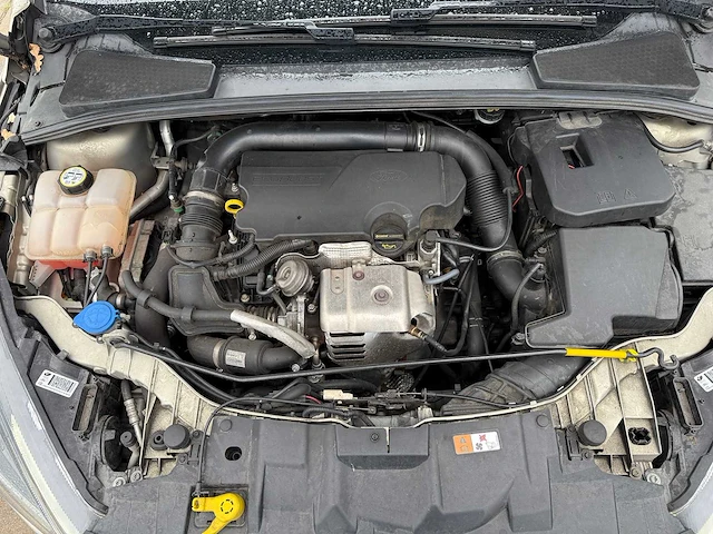 Ford focus 1.0 titanium edition, gr-808-p - afbeelding 3 van  12