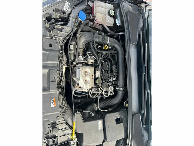 Ford focus wagon 1.0 titanium 2016 | k-887-lh - afbeelding 5 van  13