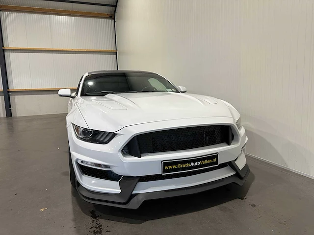 Ford mustang 5.0 gt 50 anniversary duits kenteken - afbeelding 4 van  18