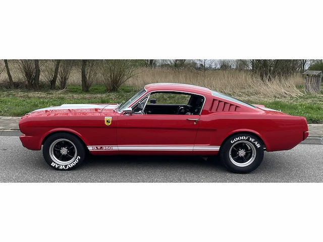 Ford mustang fastback v8 shelby gt350 tribute 1965, dh-04-74 - afbeelding 38 van  79