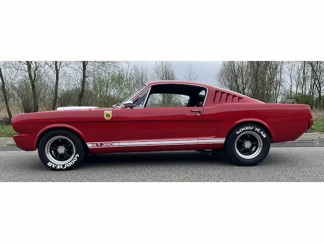 Ford mustang fastback v8 shelby gt350 tribute 1965, dh-04-74 - afbeelding 39 van  79