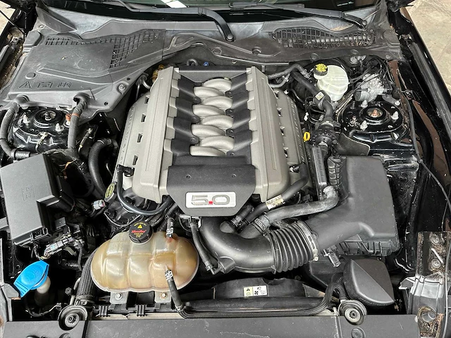 Ford mustang gt coupe 5.0 v8 441pk 2016 - afbeelding 52 van  58