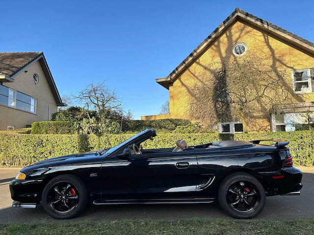 Ford usa - 1996 - mustang - 5.0 v8 convertible - pf-pj-62 - afbeelding 16 van  42