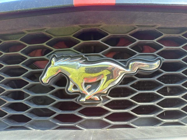 Ford usa - mustang - 4.0 v6 - cabrio - nh-451-d - 2005 - afbeelding 5 van  13