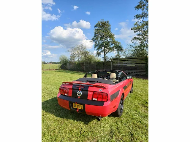 Ford usa - mustang - 4.0 v6 - cabrio - nh-451-d - 2005 - afbeelding 6 van  13