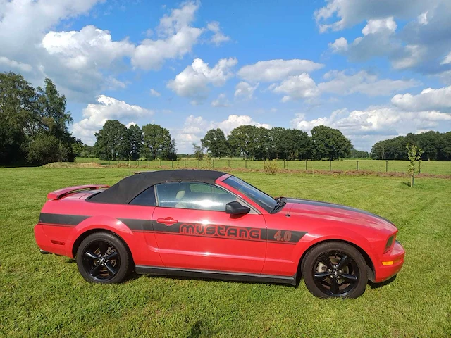 Ford usa - mustang - 4.0 v6 - cabrio - nh-451-d - 2005 - afbeelding 7 van  13