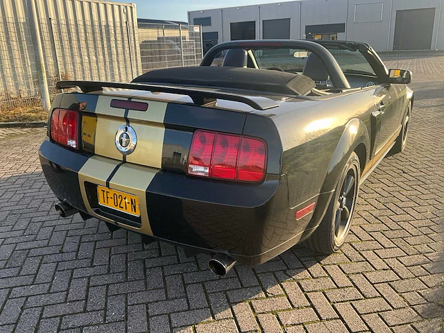 Ford usa - mustang - 4.6 v8 gt-h shelby v8 350 pk - personenauto - afbeelding 6 van  38