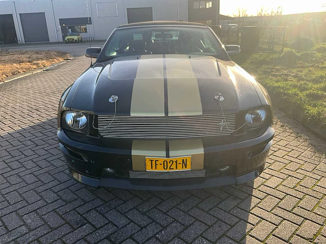 Ford usa - mustang - 4.6 v8 gt-h shelby v8 350 pk - personenauto - afbeelding 8 van  38
