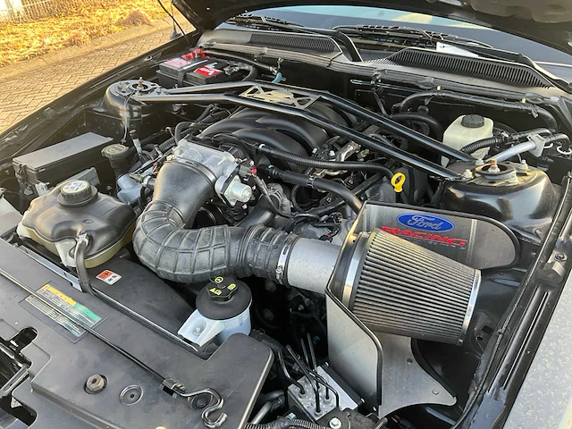 Ford usa - mustang - 4.6 v8 gt-h shelby v8 350 pk - personenauto - afbeelding 11 van  38