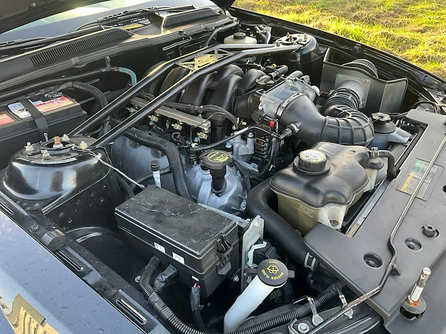 Ford usa - mustang - 4.6 v8 gt-h shelby v8 350 pk - personenauto - afbeelding 25 van  38