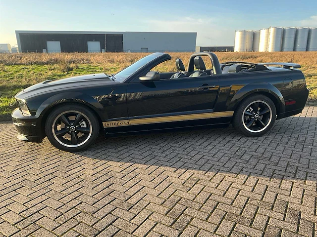 Ford usa - mustang - 4.6 v8 gt-h shelby v8 350 pk - personenauto - afbeelding 23 van  38