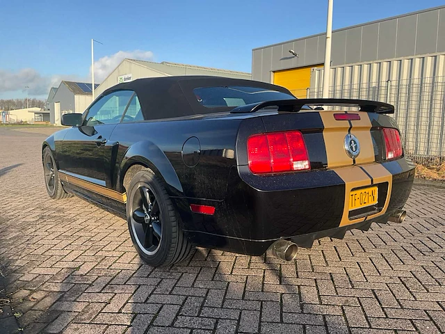 Ford usa - mustang - 4.6 v8 gt-h shelby v8 350 pk - personenauto - afbeelding 35 van  38