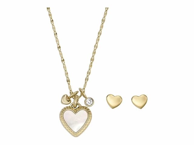Fossil jf04246set geschenkset damesketting en oorbellen 470 mm - afbeelding 1 van  4