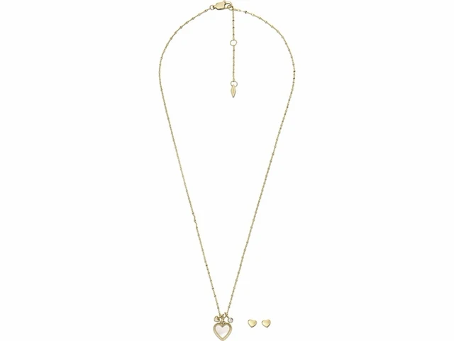 Fossil jf04246set geschenkset damesketting en oorbellen 470 mm - afbeelding 2 van  4