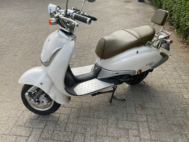 Fosti snorscooter d-407-dg - afbeelding 3 van  13