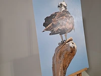 Foto afbeelding op hout, voorstelling visarend - afbeelding 2 van  8