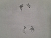 Foto afbeelding op houten frame - afbeelding 6 van  6
