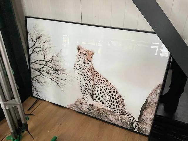 Foto in lijst - afbeelding 1 van  2
