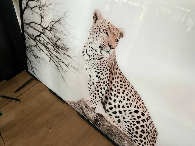 Foto in lijst - afbeelding 2 van  2