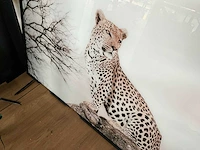 Foto in lijst - afbeelding 2 van  2
