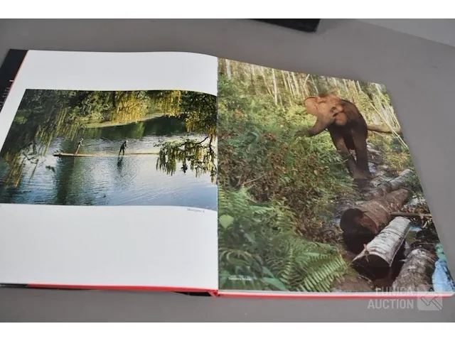 Fotoboek - afbeelding 4 van  10