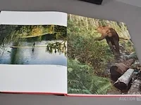 Fotoboek - afbeelding 4 van  10