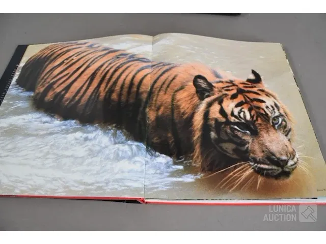 Fotoboek - afbeelding 8 van  10