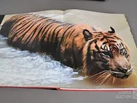 Fotoboek - afbeelding 8 van  10