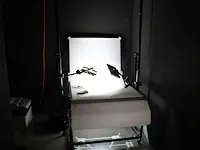Fotostudio opgebouwd uit twee falcon eyes auto pole model ap-3500h ( staanders ), verrijdbare fototafel met... - afbeelding 3 van  5